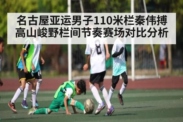名古屋亚运男子110米栏秦伟搏高山峻野栏间节奏赛场对比分析